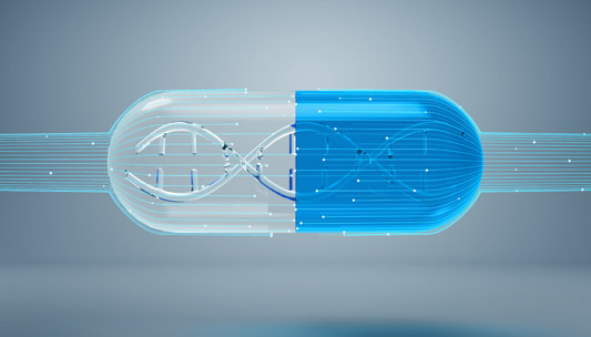 乐鱼体育科技成功签约辉骏生物科技股份网站建设